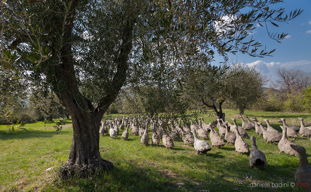 Spoerri giardino Seggiano