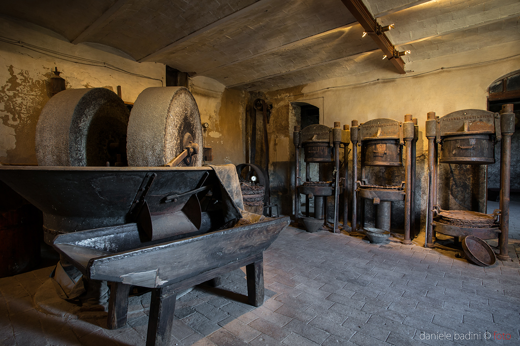 Seggiano museo olio