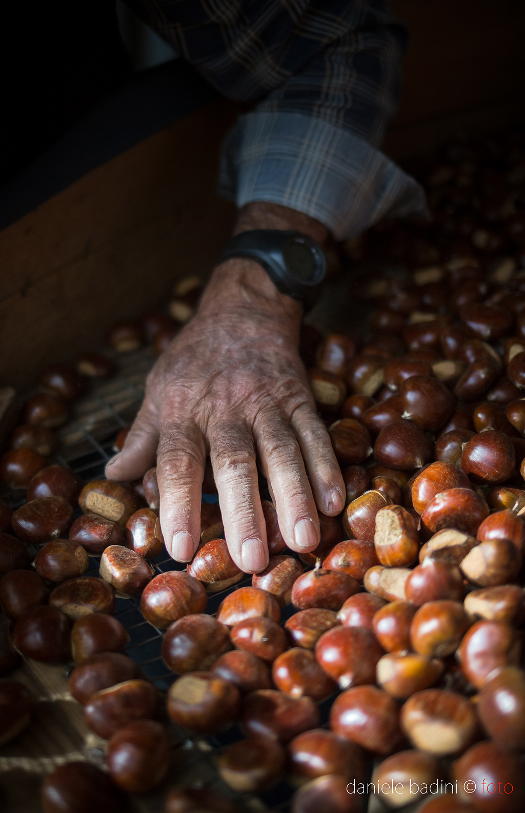 castagne Monte Amiata seggiano