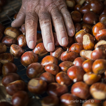 castagne Monte Amiata