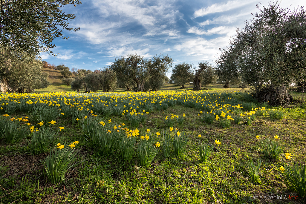 sito turismo seggiano toscana