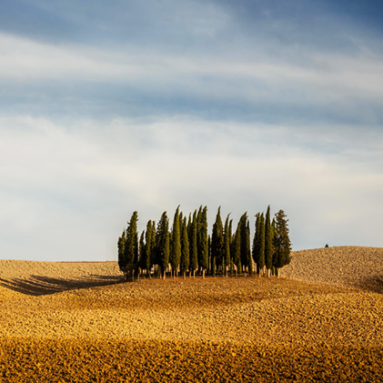 valdorcia